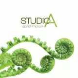 StudioA spiral motion