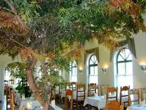 Kunstbaum Hotel Stoiser Ahornbaum und Kunstpflanzen