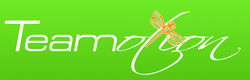 www.kinesiolog.ie Integrative Kinesiologie & Systemische Aufstellungen